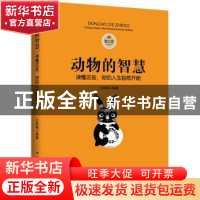 正版 动物的智慧:读懂这些,你的人生豁然开朗 江凤鸣编著 中国华