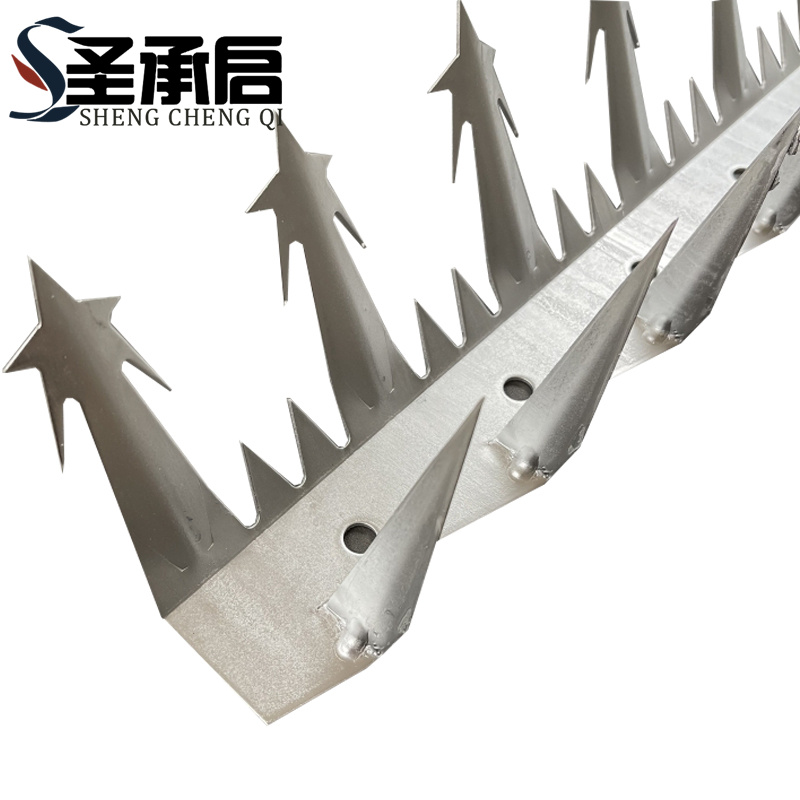 圣承启 防爬倒刺 大号根