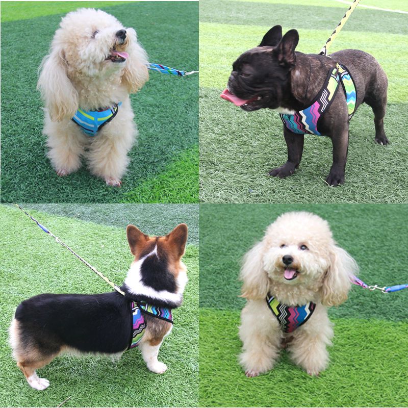斤) 中型小型犬宠物用品 背心式牵引绳狗绳 泰迪狗链子遛狗绳狗狗用品