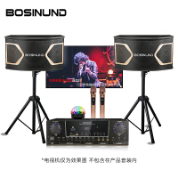 bosinund/博斯顿K5家庭音响KTV全套加wifi智点歌系统家用卡包音箱 套装家庭影院卡拉OK 语音遥控器人工智能