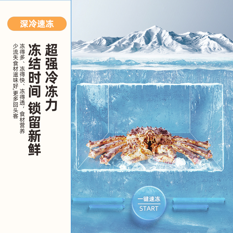 新飞(Frestec)300升减霜冰柜单温柜家用商用冰柜冷藏冷冻一键转换顶开门节能冷柜卧式一级能效BC/BD-300KJ