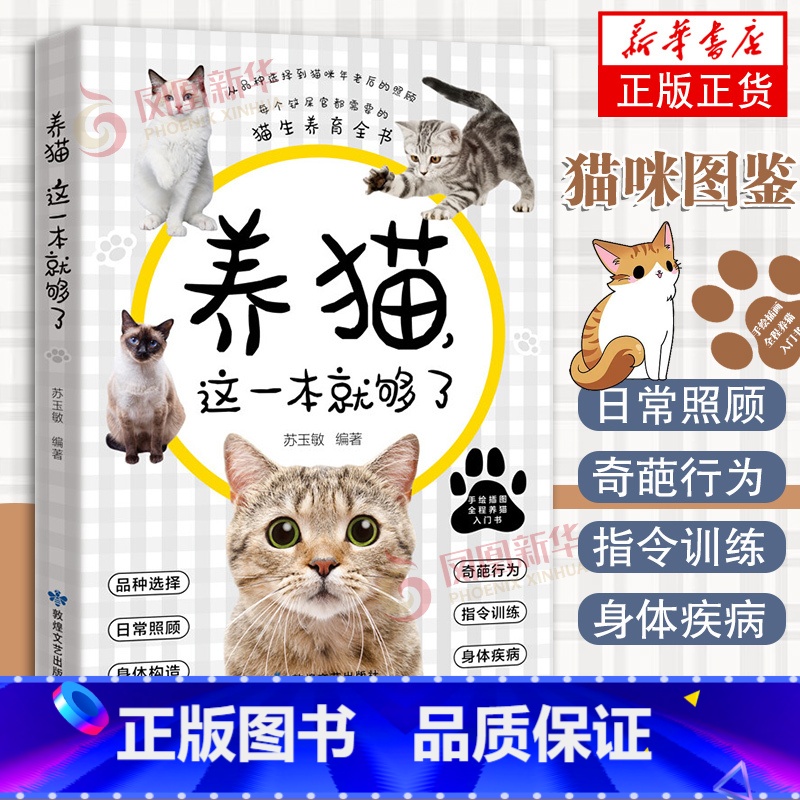 给猫咪一个安全的家 【正版】养猫这一本就够了猫咪图鉴百科书养猫基础工具书我的养猫书养猫入门指南养猫书养猫全攻略养猫科普书