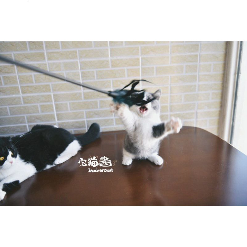 宅猫酱 猫咪玩具GiGwi加长逗猫棒羽毛猫咪大兴奋两根
