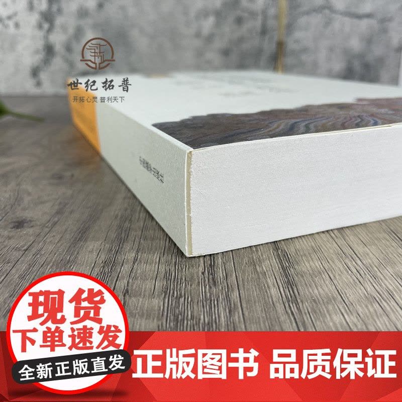 六世达赖喇嘛仓央嘉措诗意三百年 正版中国藏学出版社出版图片