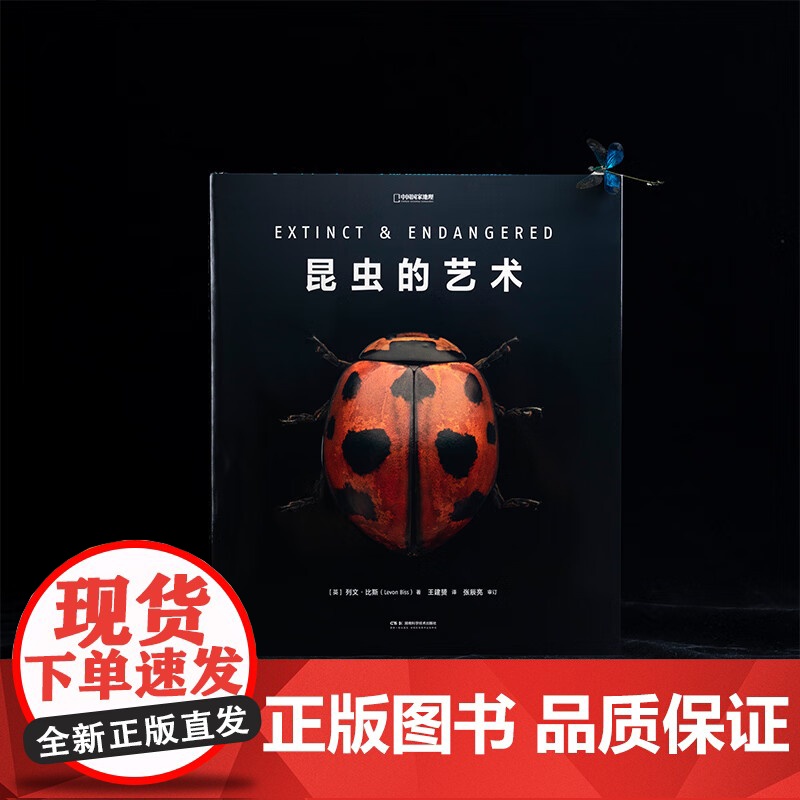 [央视网]昆虫的艺术 当代微距摄影画册 美国自然历史博物馆授权 无穷小亮张辰亮审订 科普读物关于昆虫的书籍中国国家地理D高清大图