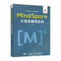 MindSpore 大语言模型实战（2本起订）