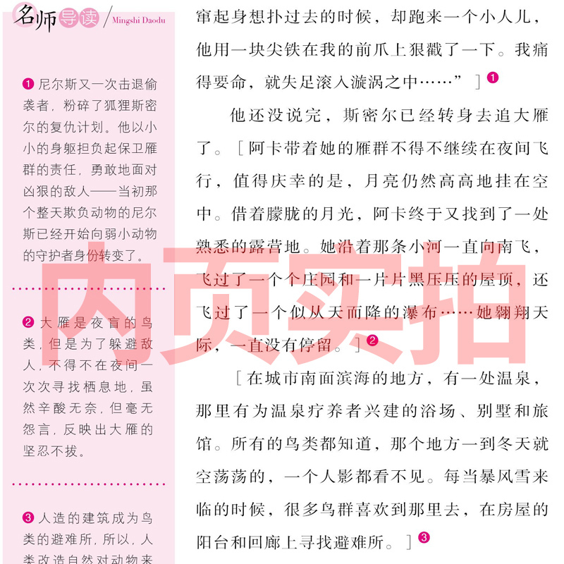 我是中国的孩子 简小军等著 [正版]骑鹅旅行记(瑞典)拉格洛夫六年级下册必读课外书原著人民原版完整版文学小说6教育尼尔斯