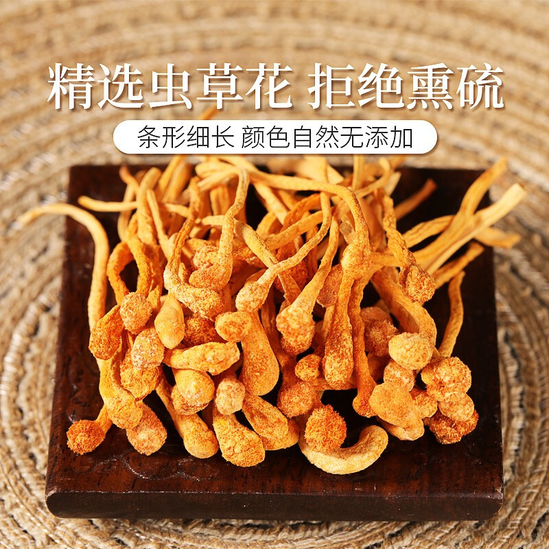 庄民 虫草花50g/罐 断草金蛹虫草 孢子头 正宗新会 精选好货 口感好味道香 非北虫草花