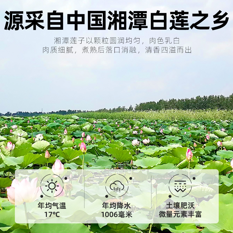 3罐装 杞里香湘潭白莲子干货去芯共208g无非野生天然非特级配百合银耳高清大图