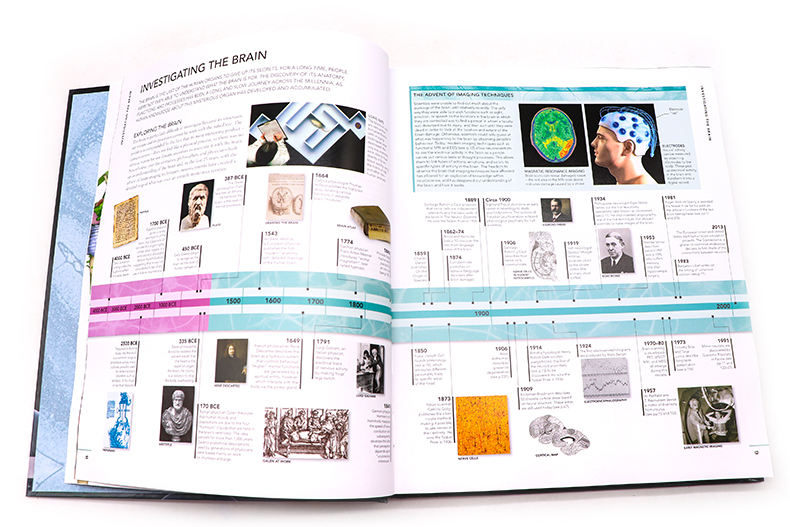 [正版]DK 大脑之书 英文原版 The Brain Book大脑百科 图解大脑结构 生命科学科普指南 探索脑部系统高清大图