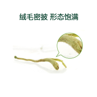 神芝王朝 金银花茶40克 清火菊花旗舰店正品金銀花散装茶叶