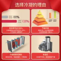 威特尼(Vaitny) 30KW冷凝式壁挂炉 NX系列 采暖炉热水器两用(天然气) 一级能效进口配件180-250㎡