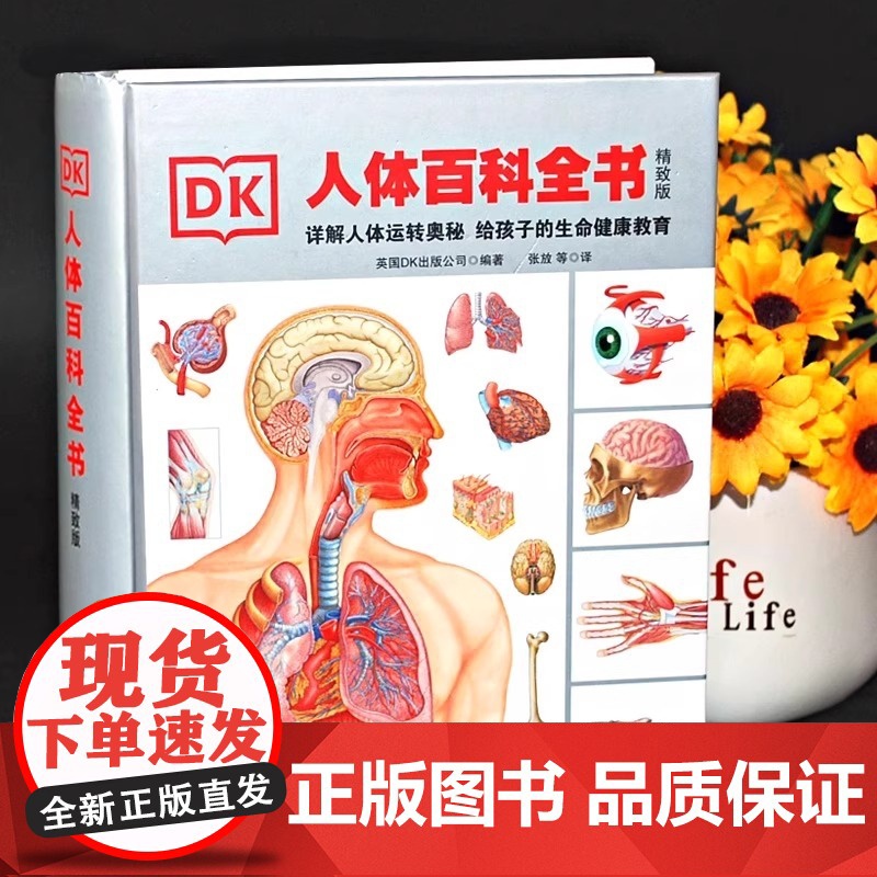 精装升级版DK人体百科全书海量图片揭秘我们的身体骨骼结构图解以文字为孩子探索认识人体科普打开兴趣四五年级课外书读绘本高清大图