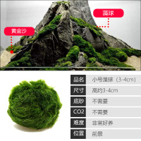 大九叶皇冠草真水草鱼缸装饰懒人水草淡水有茎类中后景性草 默认尺寸 【藻球】