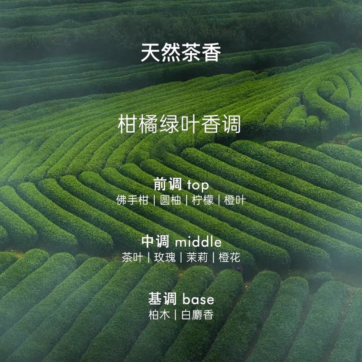 CLINSIS N.2洗发水300mL 去屑止痒舒缓活性补水蓬松洗头膏露高清大图