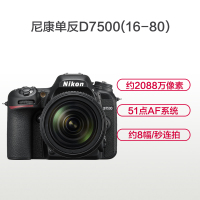 尼康(Nikon) D7500(16-80mm)数码单反相机 单镜头套装 约2088万像素