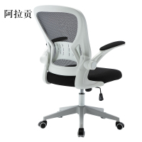 阿拉贡办公椅子电脑椅靠背家用学生椅座椅舒适久坐转椅人体工学书桌升降