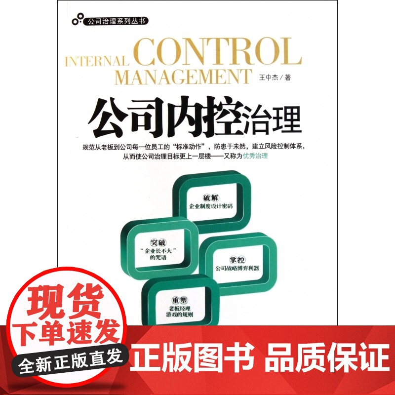 公司内控治理/公司治理系列丛书高清大图