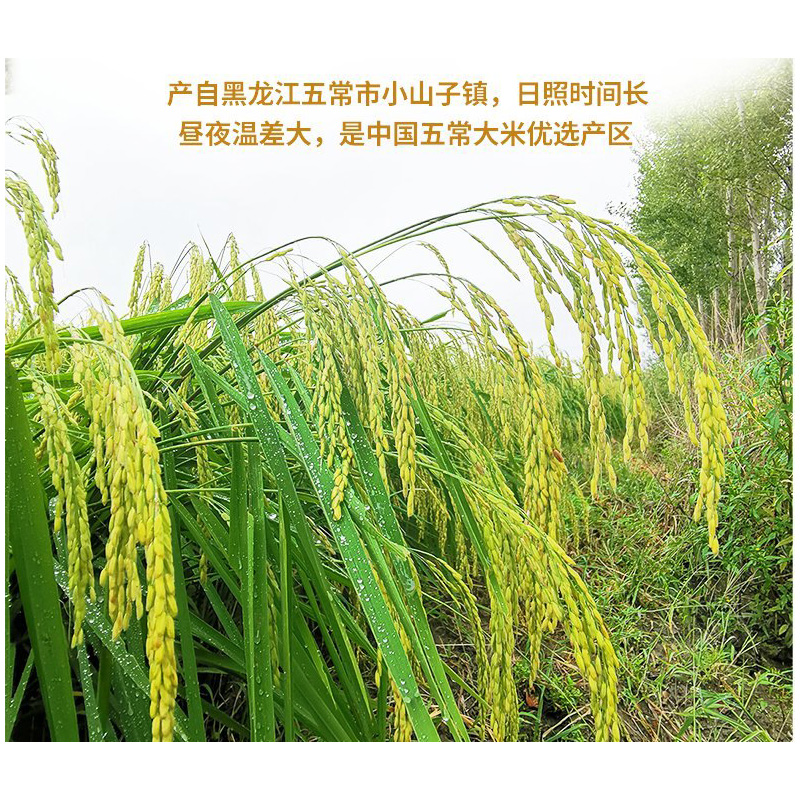 粮佰年绿色长粒香大米10kg (扶贫助农产品)高清大图