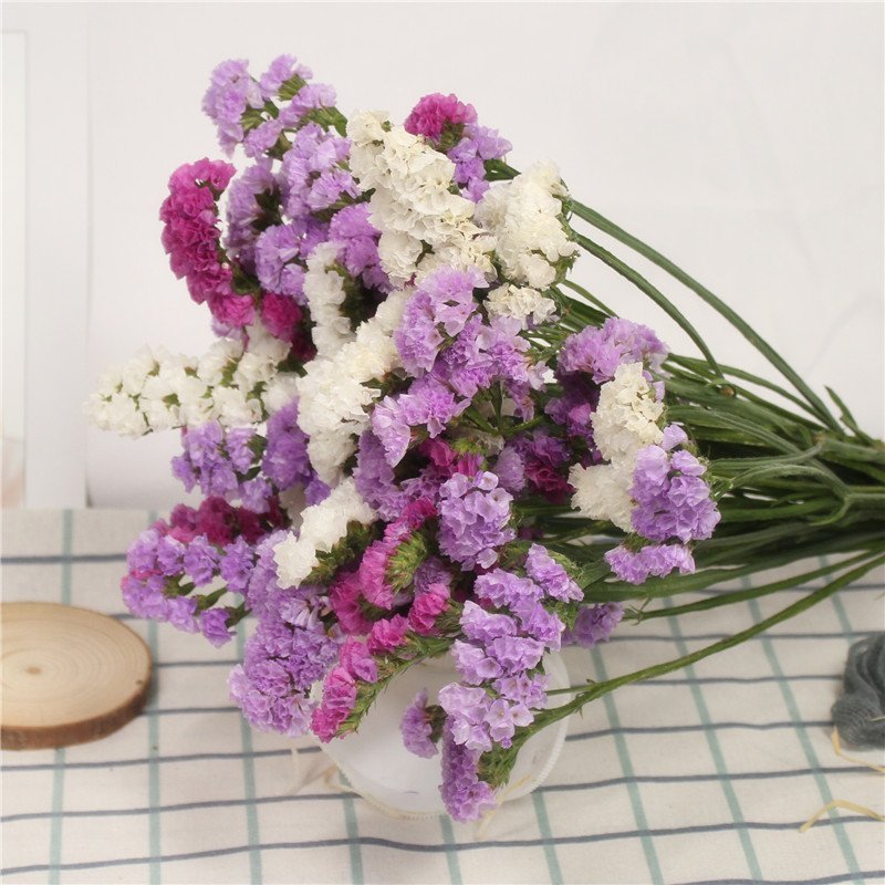 紫粉玫黄 草 黄水晶 40cm10支 云南勿忘我干花花束真花永生花满天星