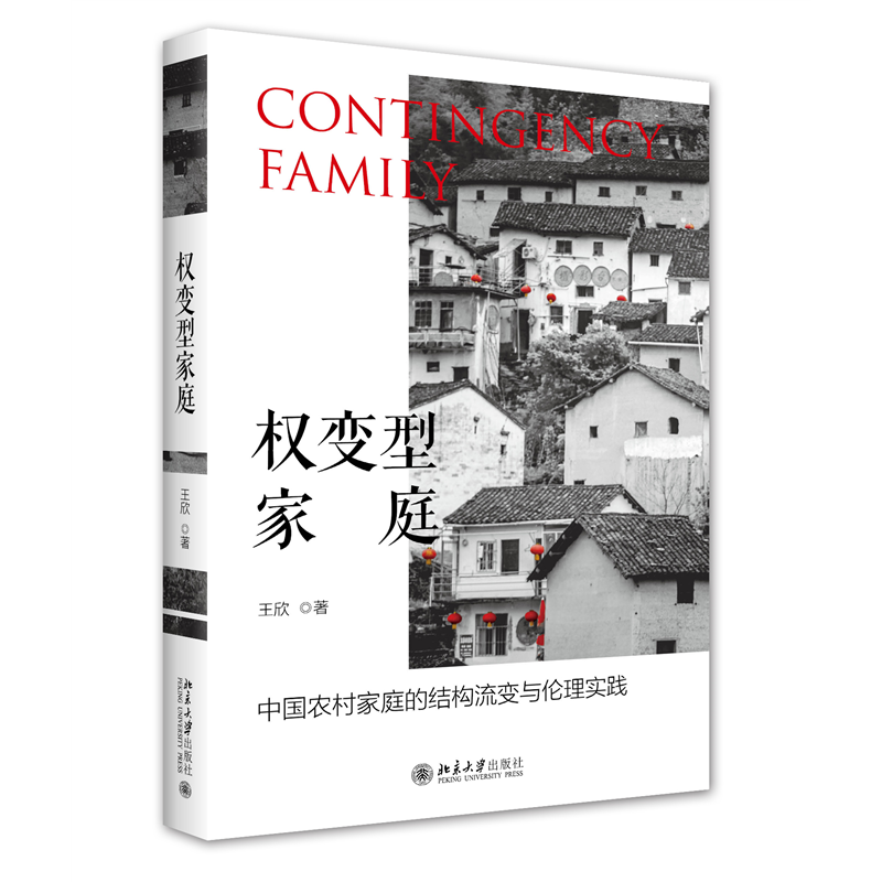 音像权变型家庭(中农村庭结构流变与伦理实践)王欣