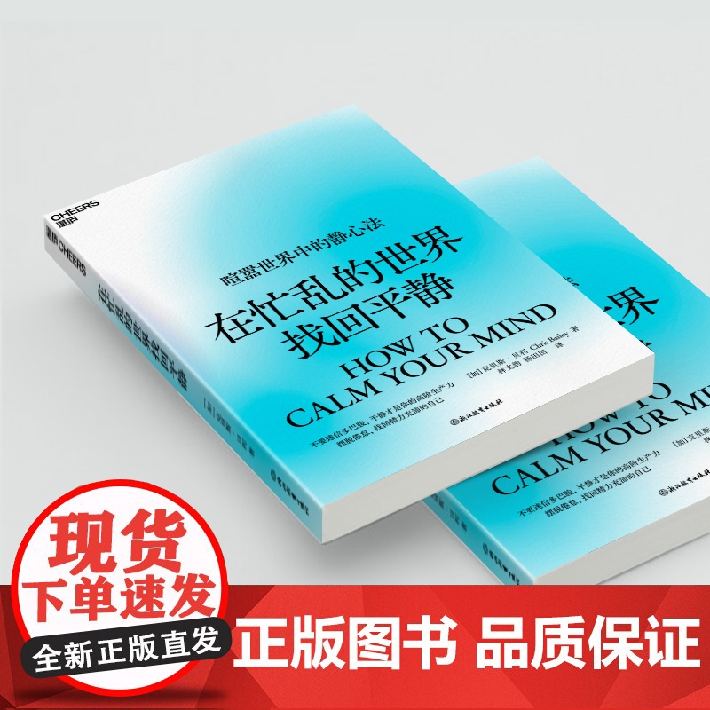 在忙乱的世界找回平静 克里斯·贝利 平静才是你的高阶生产力 摆脱倦怠,找回精力充沛的自己高清大图