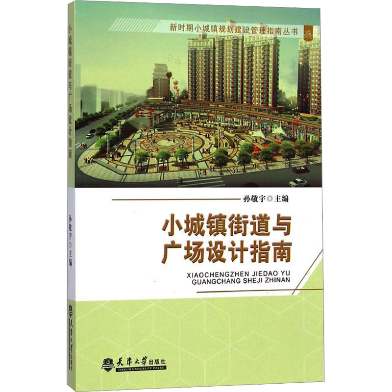 醉染图书小城镇街道与广场设计指南9787561852187高清大图