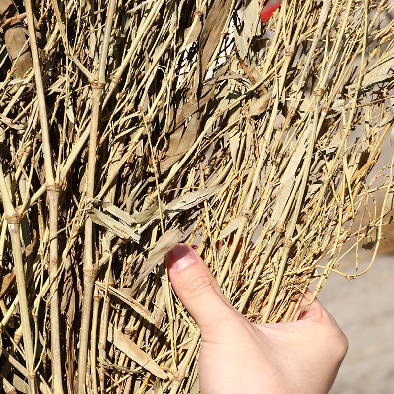 艾贝丽加密大扫把 竹扫把 3.5斤带叶竹枝连体 米色高清大图