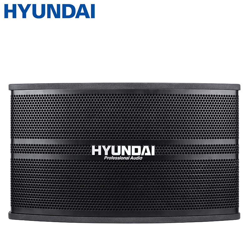 现代（HYUNDAI）HY-888 卡包音响 KTV音响家庭影院组合套装 会议客厅卡拉ok家用 仅对箱