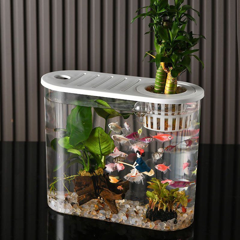 鱼缸小型金鱼缸家用高清透明塑料生态鱼缸有盖椭圆形水族箱图片
