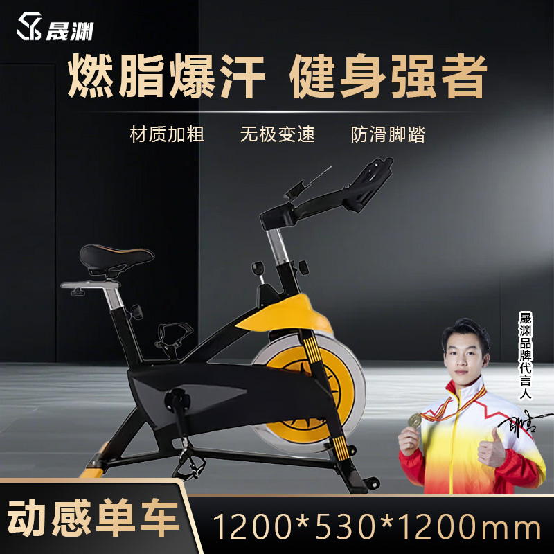 晟渊 动感单车家用健身自行车磁控专业减肥运动器材 YP1162