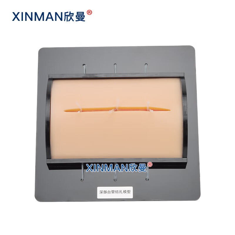 欣曼科教 高级深部血管出血止血结扎操作训练模型XM-ZXS1高清大图