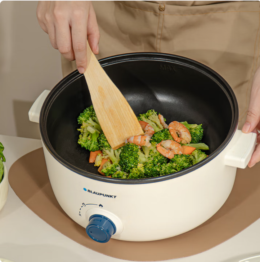 蓝宝(BLAUPUNKT)电煮锅 电火锅家用大容量2-4人使用多功能锅 BP-DZG20高清大图