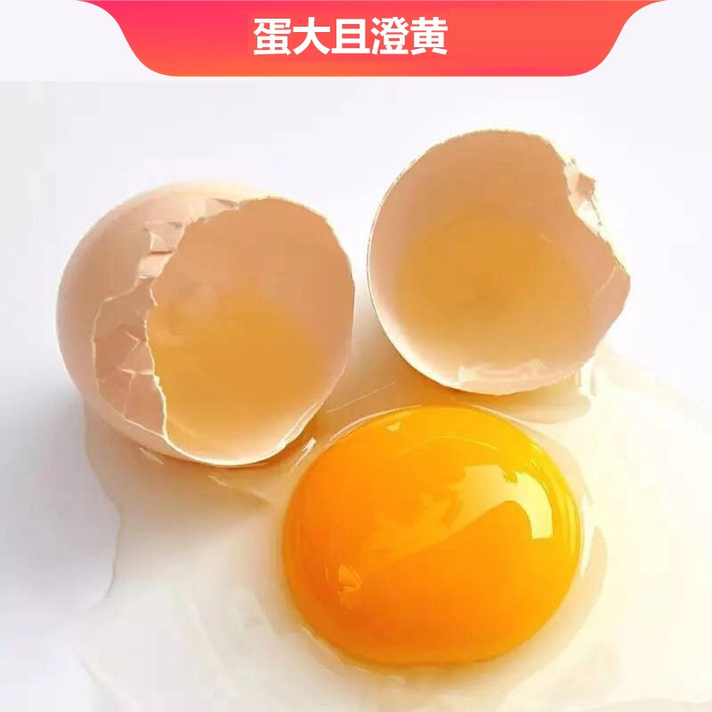[五个农民] 50枚装 2000g 散养草鸡蛋 现捡现发土鸡蛋 农家自养