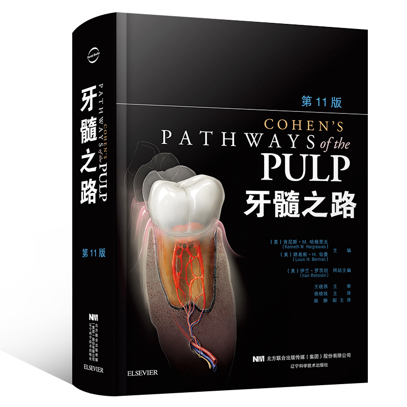 [醉染正版]正版 牙髓之路 第11十一版 牙体牙髓病学 临床牙髓再生技术 牙科治疗根管图谱 口腔书籍 医学类专业书籍高清大图
