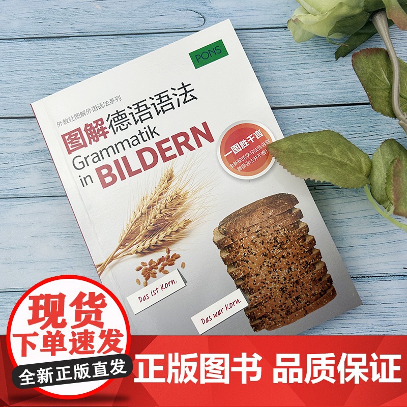图解德语语法 古巴诺娃-米勤 编著 德语语法基础入门 德语语法自学学习书籍 德语基础语法入门 上海外语教育出版社 97高清大图