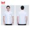 哈铁亿农 厨师服短袖 185/件