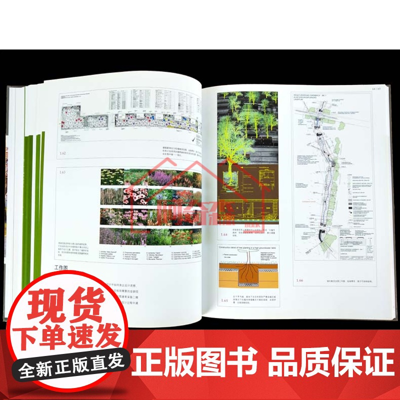 风景园林的视觉化设计:功能、概念、策略 园林设计学习全过程步骤详细讲解 平面图透视图模型概念图 建筑规划园林景观设计书籍高清大图