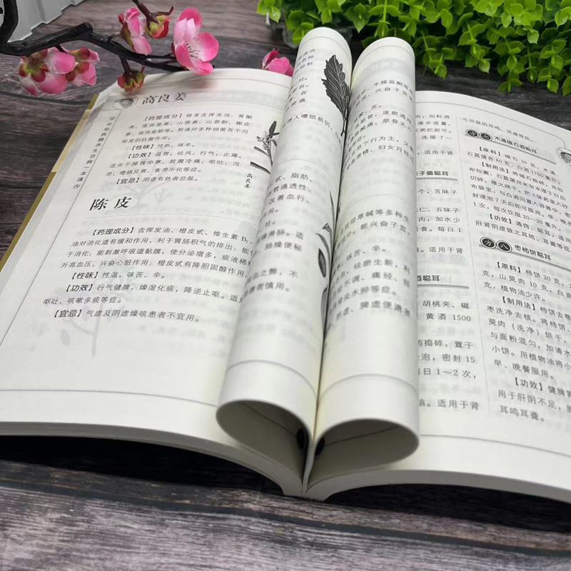 [正版]中华药膳养生治病一本通中药药膳煲汤书籍大全养生汤 强身健体中医食疗书 家常菜谱书籍大全营养餐烹饪美食食谱书籍家