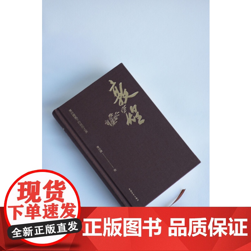 敦煌 常沙娜笔下的敦煌之美 常沙娜 著 艺术高清大图