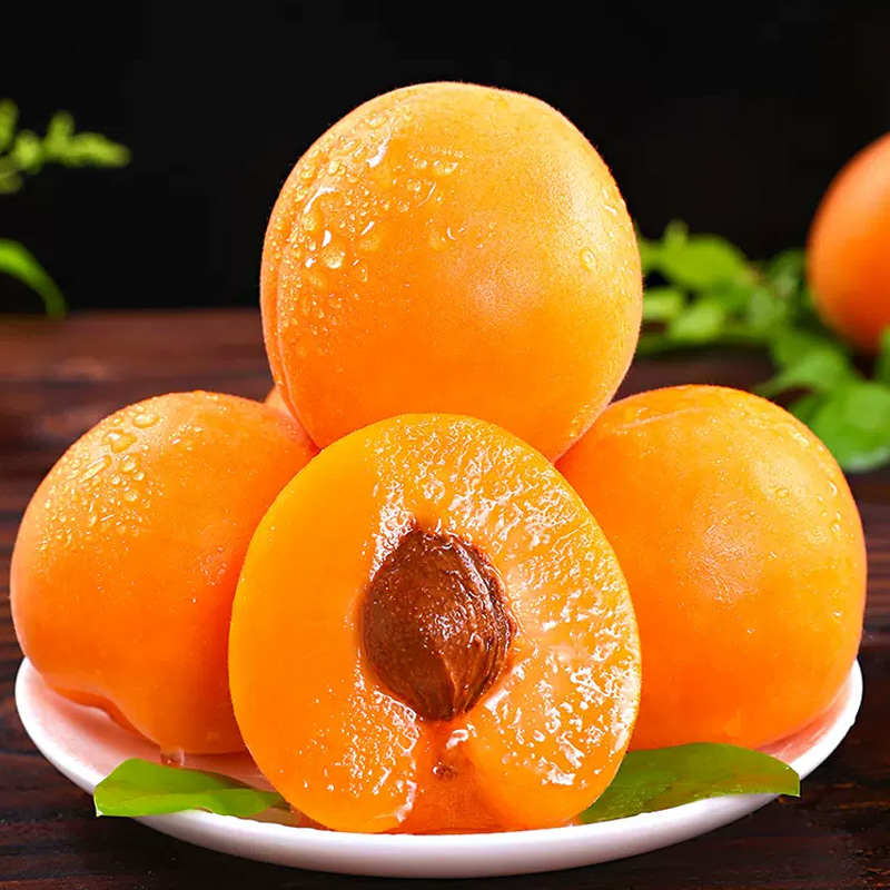 苏鲜生陕西大黄杏子新鲜水果5斤当季特大巨蜜金太阳杏酸甜杏子整箱