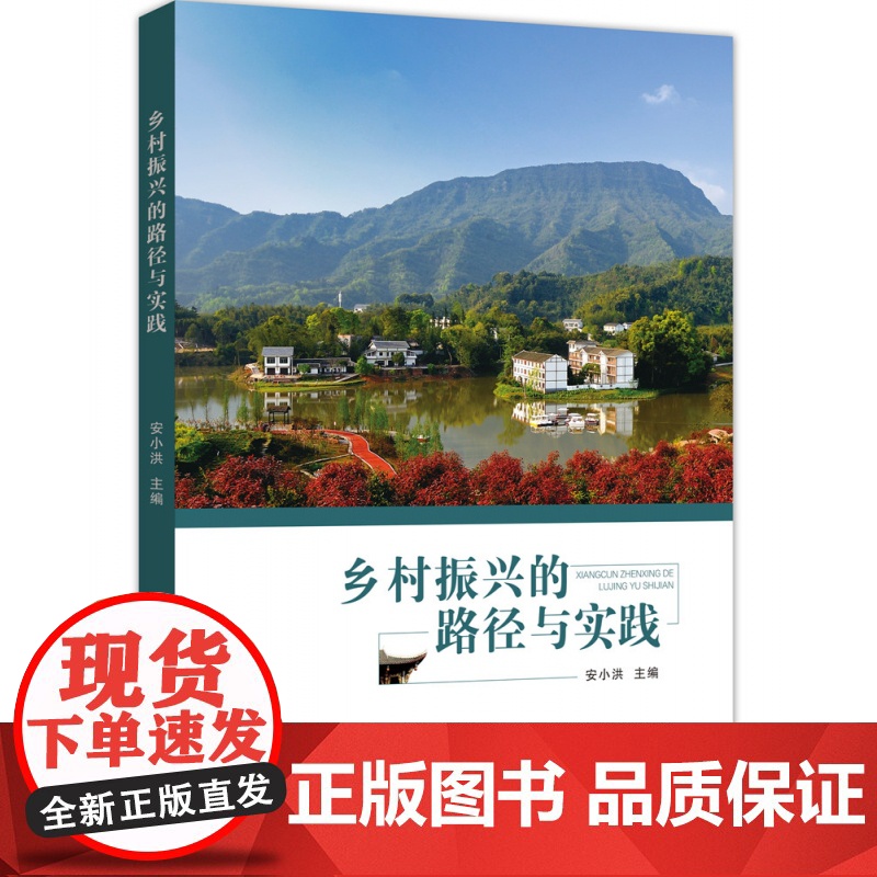 乡村振兴的路径与实践高清大图