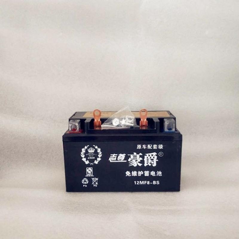 鬼火瑞星踏板摩托车电瓶12v海王星踏板车电池女士踏板125干电瓶鬼火