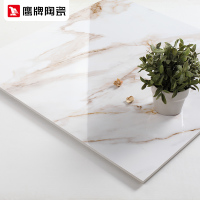 鹰牌简约现代北欧客厅玉石纹瓷砖800x800地板砖防滑地砖 雅士白