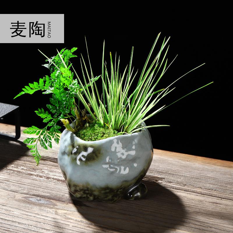 美帮汇禅创意陶瓷花盆简约个性菖蒲袖珍椰子植用室内组合盆栽装饰品高清大图