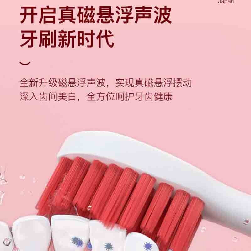 豹牌 电动牙刷 BP-DT09高清大图