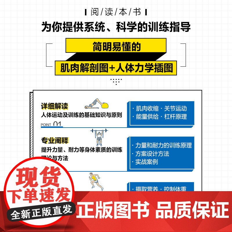 运动训练基础理论 全彩图解版 日本 横滨市运动医学中心 人体力学插图 运动解剖学运动训练学健身教练书籍 运动营养学运动康高清大图