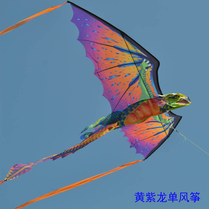 2019新款大型创意3D立体龙头翼龙恐龙成人儿童风筝线轮创意 三维工匠 平面红色翼龙配水晶轮500米线