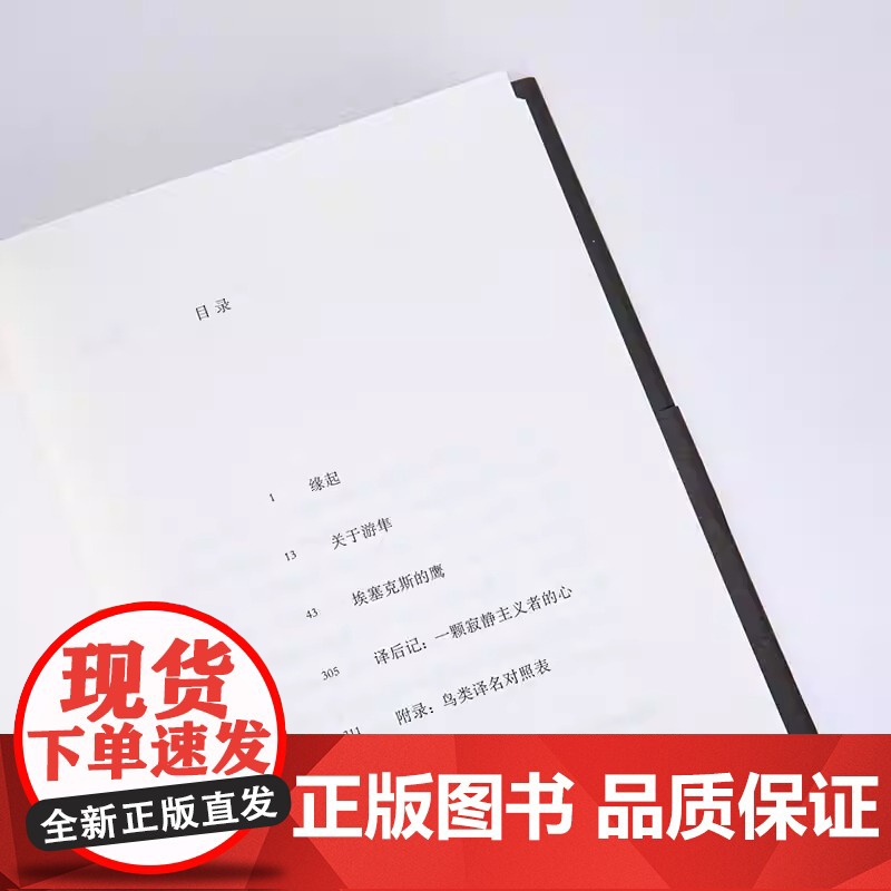 游隼 J. A. 贝克 著 自然文学 绝版经典 影响超过半个世纪的伟大杰作 一本关于如何成为一只鹰的书 理想国图书正版书高清大图