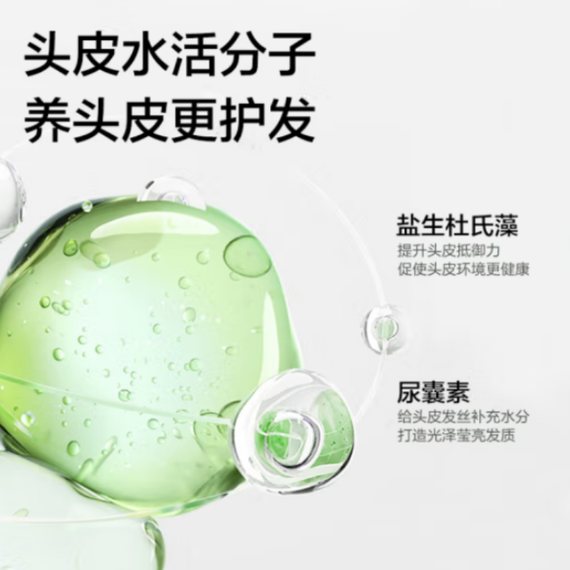 柏缇北非雪松控油蓬松洗发水 清爽去屑止痒留香氨基酸洗发露 505ml[瓶]高清大图